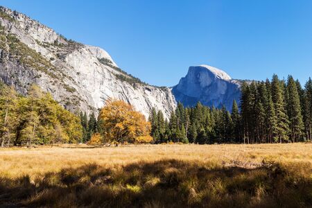 Panoramic view of Yosemite nation park, California, USA.の写真素材