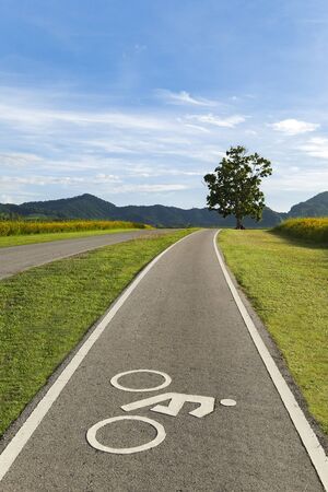 Scenery bicycle lane on a hill with a tree, blue sky and mountain forest background.