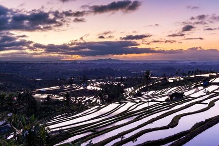 Beautiful sunrise over the Jatiluwih Rice Terraces in Bali, Indonesia.の写真素材