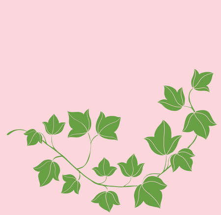 Simplicity ivy freehand drawing flat design. Vector illustration.のイラスト素材