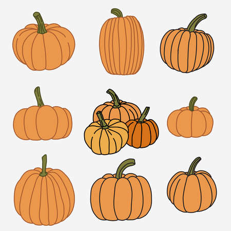 Doodle freehand sketch drawing of pimpkin vegetable. Healthy diet lifestyle concept.のイラスト素材
