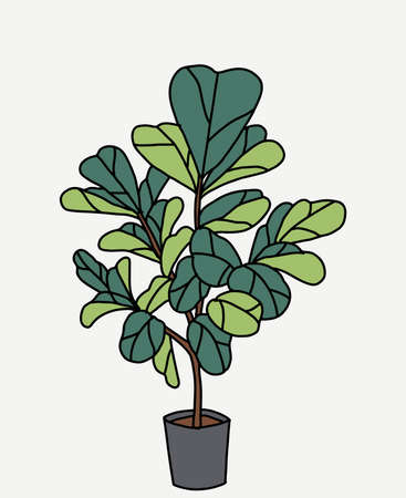 Doodle freehand sketch drawing of fiddle leaf fig tree. Vector illustration.のイラスト素材