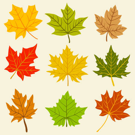 Collection of simplicity maple leaf freehand drawing flat design. Vector illustration.のイラスト素材