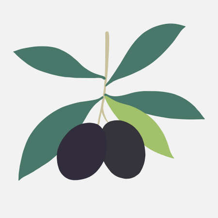 doodle freehand sketch drawing of olive fruit. healthy diet lifestyle concept.のイラスト素材