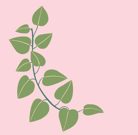 Simplicity ivy freehand drawing flat design. Vector illustration.のイラスト素材