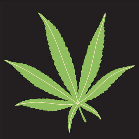 simplicity cannabis leaf freehand drawing flat design.vector illustration.