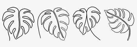 Simplicity monstera leaf freehand continuous line drawing flat design.Vector illustration.のイラスト素材