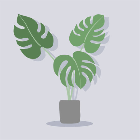 Simplicity monstera plant freehand drawing flat design. Vector illustration.のイラスト素材