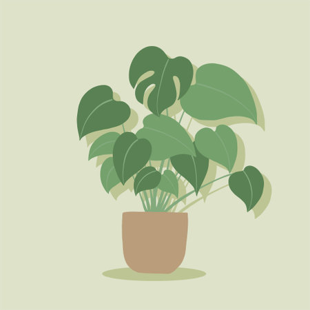 Simplicity monstera plant freehand drawing flat design. Vector illustration.のイラスト素材