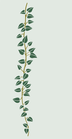 Simplicity ivy freehand drawing flat design. Vector illustration.のイラスト素材