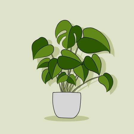 Simplicity monstera plant freehand drawing flat design. Vector illustration.のイラスト素材
