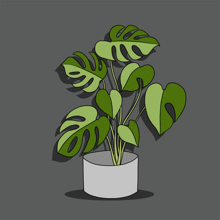 Simplicity monstera plant freehand drawing flat design. Vector illustration.のイラスト素材