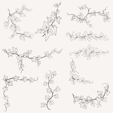 Floral ivy drawing decorative ornament flat design collection. Vector illustration.のイラスト素材