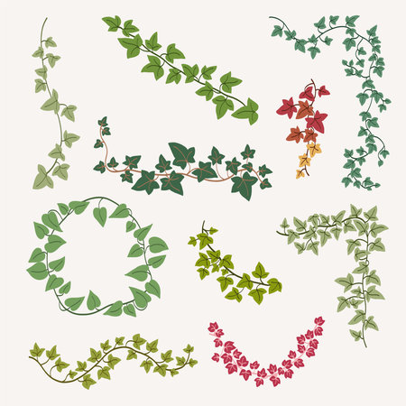Floral ivy drawing decorative ornament flat design collection. Vector illustration.のイラスト素材