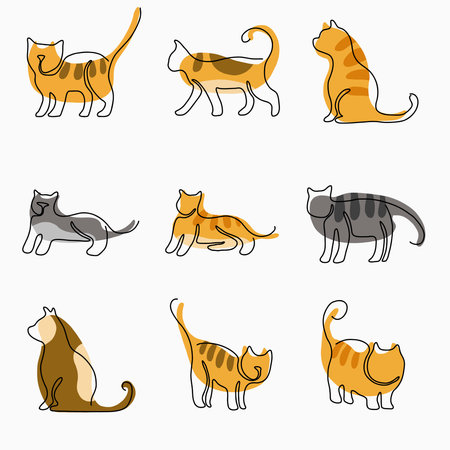 Doodle continuous freehand sketch drawing of cat pose collection. Cute pet animal concept.のイラスト素材