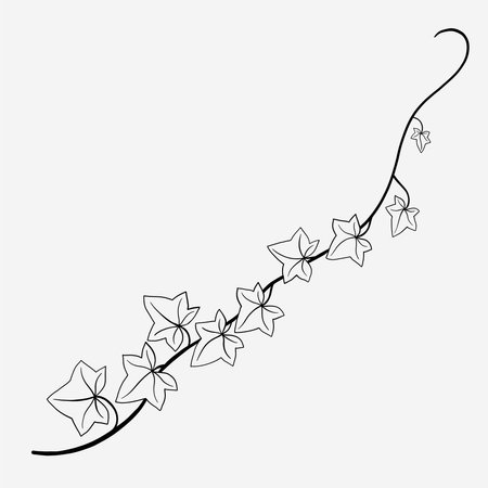 Floral ivy drawing decorative ornament flat design. Vector illustration.のイラスト素材