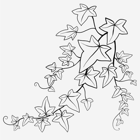 Floral ivy drawing decorative ornament flat design. Vector illustration.のイラスト素材
