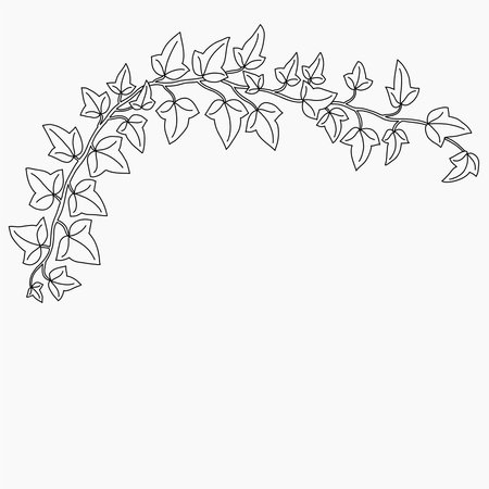 Floral ivy drawing decorative ornament flat design. Vector illustration.のイラスト素材