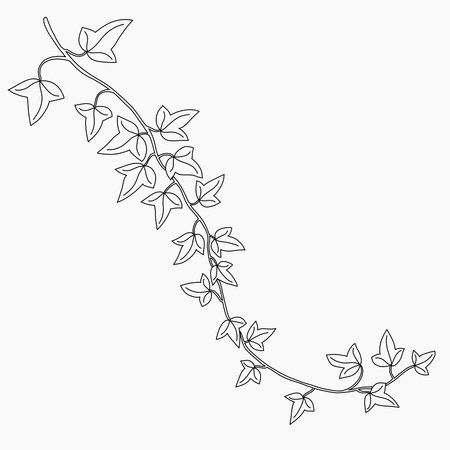 Floral ivy drawing decorative ornament flat design. Vector illustration.のイラスト素材