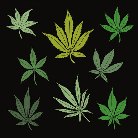Simplicity cannabis leaf freehand drawing flat design collection. Vector illustration.のイラスト素材