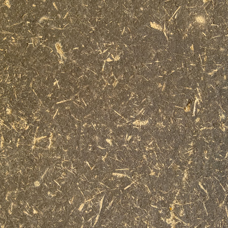 Plywood wall texture background. Material construction.の写真素材