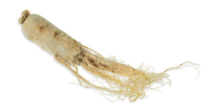 Isolated ginseng cut out on white background.の写真素材