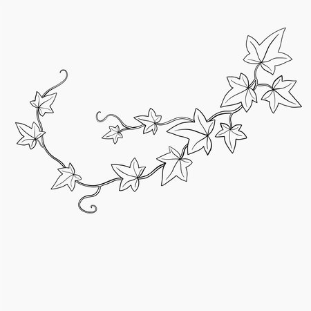Floral ivy drawing decorative ornament flat design. Vector illustration.のイラスト素材