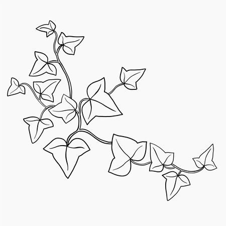Floral ivy drawing decorative ornament flat design. Vector illustration.のイラスト素材