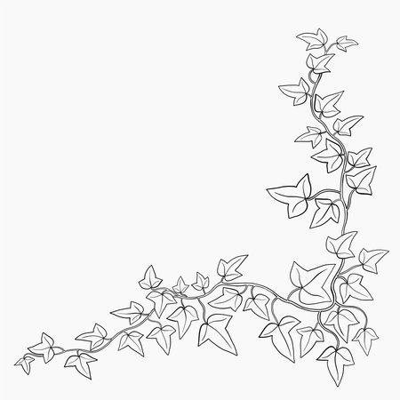 Floral ivy drawing decorative ornament flat design. Vector illustration.のイラスト素材