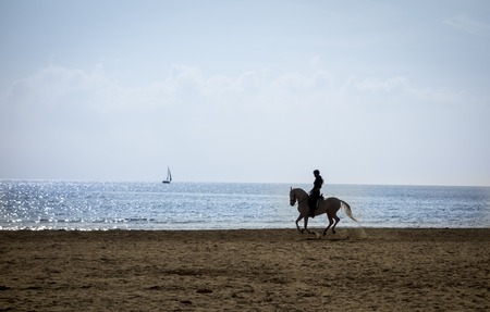 Horse riding silhouette at the beachの写真素材