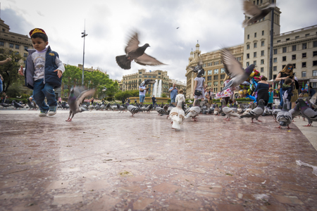 Barcelona, May 07, 2017: People feeding the pigeons in Placa de Catalunya near La Ramblaのeditorial素材