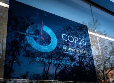 Trees and leaves silhouette reflection over a COP25 posterのeditorial素材