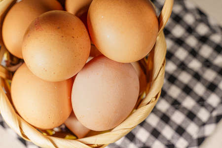 Basket full of eggs, concept of financial risksの写真素材