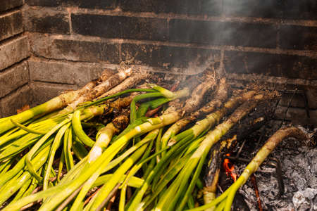 Closeup of a pile of calcots or sweet onions being cooked in the barbecue. Typical of Catalonia, Spainの写真素材
