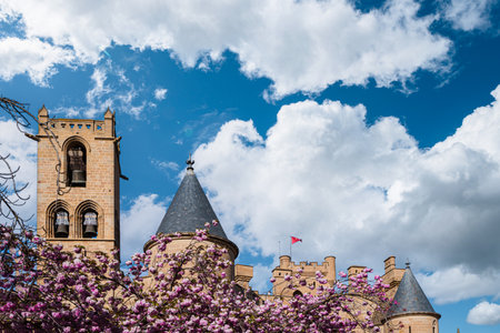 Spring Bloom at Olite Castle
