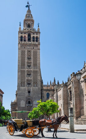 Giralda, bell tower of seville cathedral with horse carriage waiting for touristsの写真素材