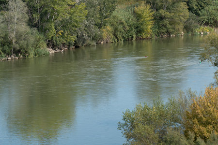 Ebro river flowing through lush vegetation in Miravet, spain