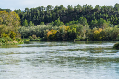 Ebro river flowing through lush vegetation in Miravet, spainの写真素材