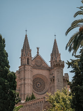 Panning up to Palma Cathedral behind lush vegetationの写真素材