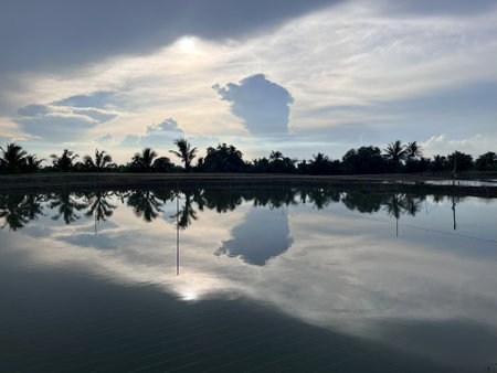 Reflection of coconut trees in the lake with sky and clouds.の写真素材