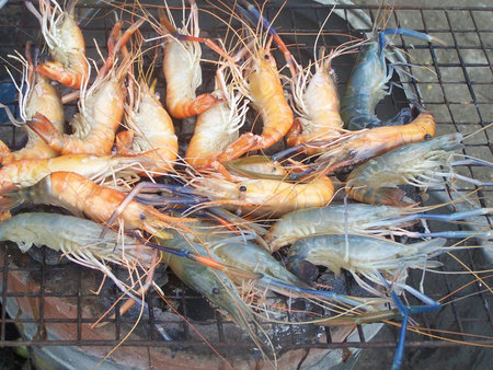 total up the seafood cooks fresh , beach rim bangsan, pattaya,jomtain,cholburee , the tourist attraction is popular of Thailand tall ,の写真素材
