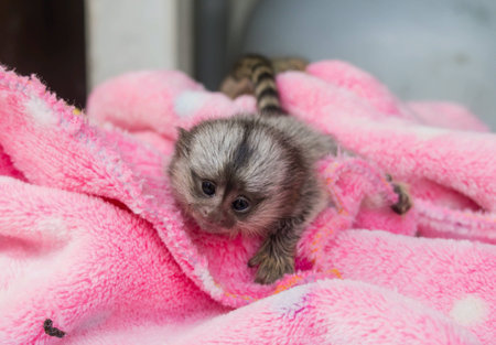 Mother and son hugged each other happily.の素材