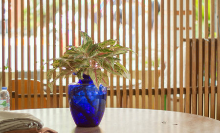 Mother and son hugged each other happily.の素材