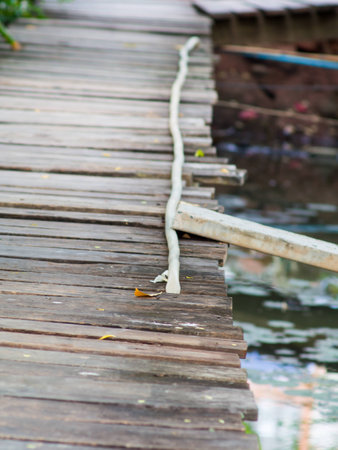 Wooden bridge in the garden, with garden enjoyment is the ultimate in relaxation.の写真素材
