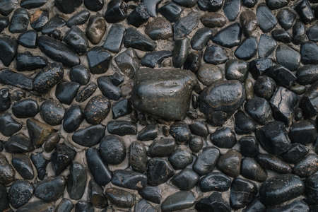 stones background texture of wet sea stones, A Stone patterns,Pebble stone texture. Little round stones in different colors. Background image.の写真素材