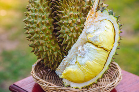 Durian riped and fresh ,durian peel with yellow colour on wooden table.の写真素材