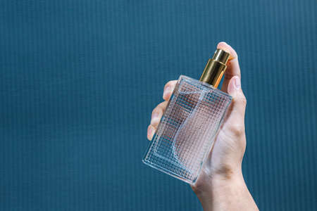 Sunflowers blooming in a beautiful sunflower field in the midst of the valley.の写真素材