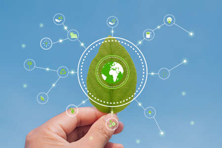 Hand holding young plant against green nature leaves background with icons energy sources for...