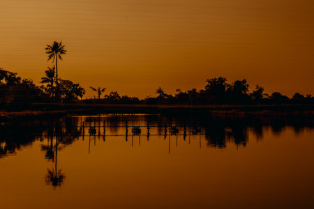 silhouette coconut water reflection golden light effects white balance low shutter speed dark art...
