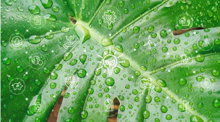 Ecology concept. Green leaf with water droplets and icons.の写真素材